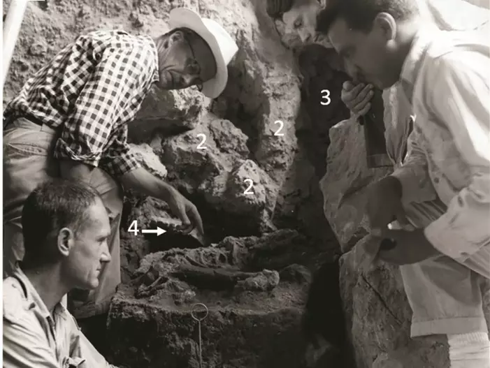 Her ser du utgravningene foretatt av Ralph Solecki (fremst til venstre) i 1960 i hulen.