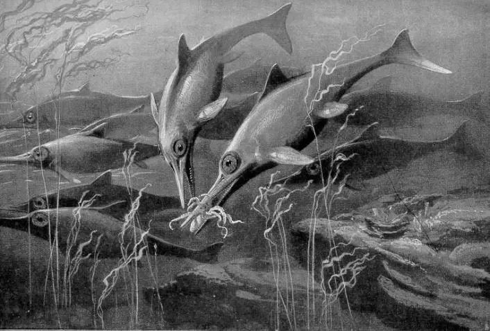 Slik har en kunstner sett for seg havøglene som levde for flere hundre millioner år siden. Legg merke til den delfin-lignende kroppen, selv om de ikke er i slekt med hverandre.  (Bilde: Heinrich Harder/Wikimedia Commons)