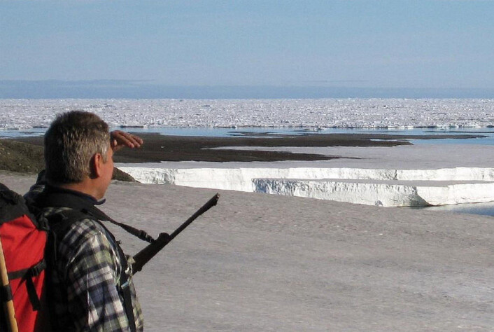 Det blir mindre og mindre sommerhavis langs den nordlige kysten på Grønland, men faktisk var det mye mindre for 6000 år siden. (Foto: Svend Funder) Det blir mindre og mindre sommerhavis langs den nordlige kysten på Grønland, men faktisk var det mye mindre for 6000 år siden. (Foto: Svend Funder)