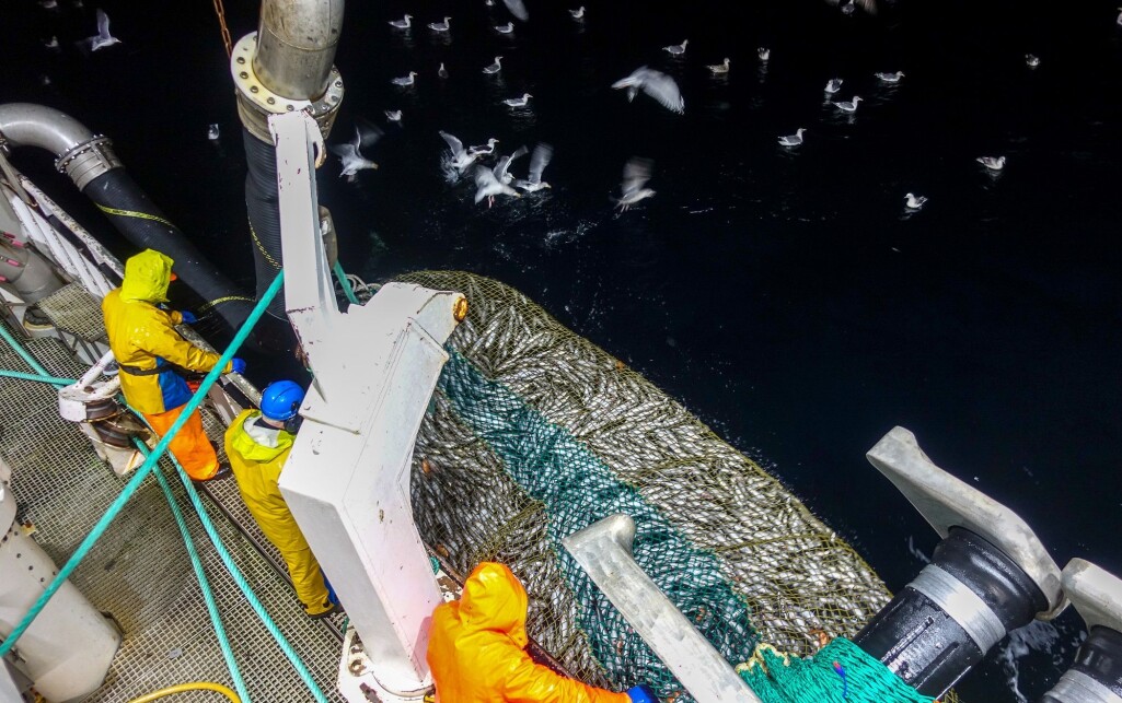 EthiCatch er et forskningsprosjekt om fiskevelferd, kvalitet, etikk og verdiskaping i kystfiskeriene. EthiCatch er et forskningsprosjekt om fiskevelferd, kvalitet, etikk og verdiskaping i kystfiskeriene.