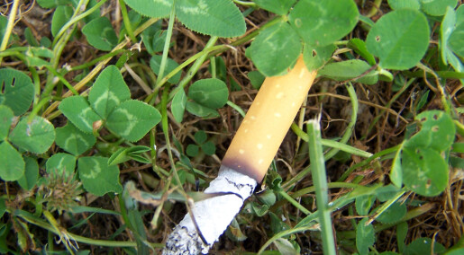 Sigarettsneiper er det største plastproblemet i dansk natur