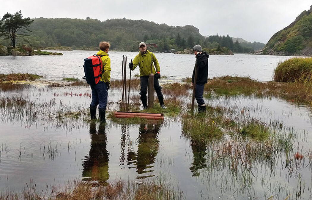 Her tar forskerne prøver fra tidevannsavsetninger ved Lista, et av få steder langs norskekysten der målinger viser en pågående marin transgresjon, altså at havet stiger raskere enn landet. Her tar forskerne prøver fra tidevannsavsetninger ved Lista, et av få steder langs norskekysten der målinger viser en pågående marin transgresjon, altså at havet stiger raskere enn landet.