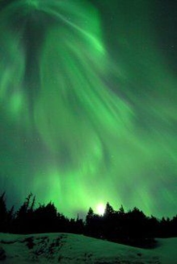 "Nordlys over Alaska 23.-24. mars 2007. (Foto: Daryl Pederson/NASA)." "Nordlys over Alaska 23.-24. mars 2007. (Foto: Daryl Pederson/NASA)."