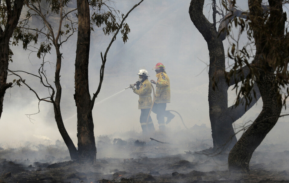 Så mye som 21 prosent av Australias skogområder har gått tapt under årets sesong, viser en ny studie. Her fra brannslukking sør for hovedstaden Canberra i begynnelsen av februar.