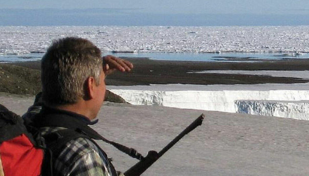 Vind forlenger havisens liv i Arktis