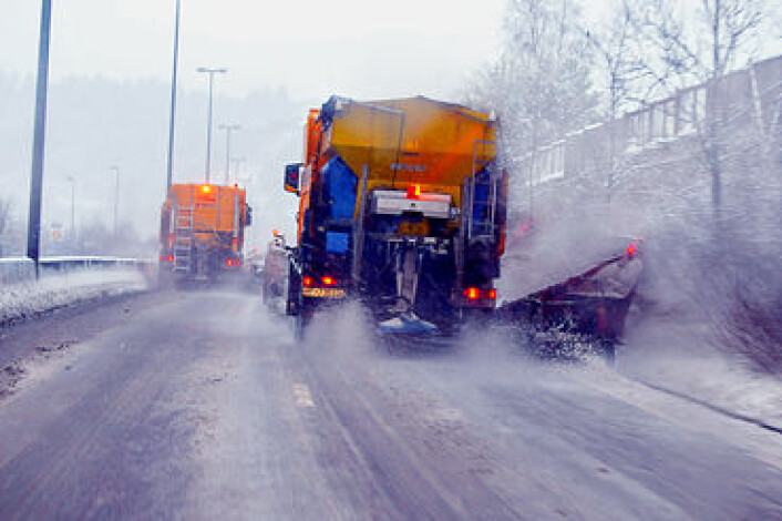 Salting av norske vinterveier er doblet på ti år og det er ingen tvil om at veisaltet påvirker naturen. (Foto: Knut Opeide/Statens vegvesen) Salting av norske vinterveier er doblet på ti år og det er ingen tvil om at veisaltet påvirker naturen. (Foto: Knut Opeide/Statens vegvesen)