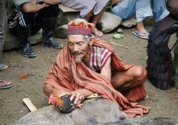 Rituell ekspert blant ifugao som utfører et ofringsrituale. (Foto: Jon Henrik Remme) Rituell ekspert blant ifugao som utfører et ofringsrituale. (Foto: Jon Henrik Remme)