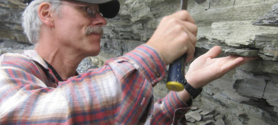Geolog Paul Olsen fra Columbia University tar prøver av stein fra tida rundt masseutryddelsen for 201 564 000 år siden. Kevin Krajick/Earth Institute