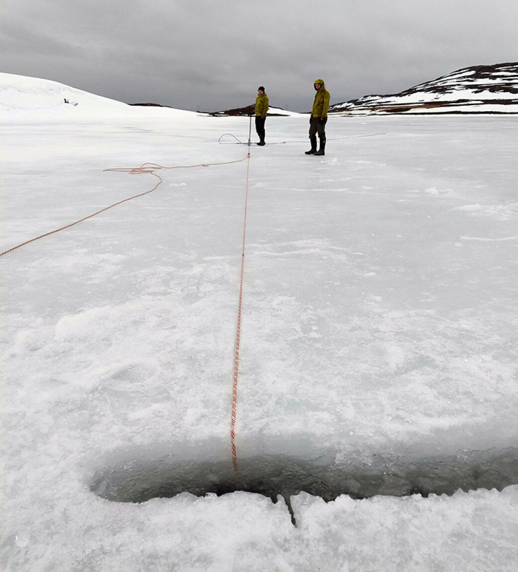 Arbeidet på innsjøene kan også skje på vinteren, slik som her ved Snefjord i Finnmark. I år starter feltarbeidet i ukene før påske. Arbeidet på innsjøene kan også skje på vinteren, slik som her ved Snefjord i Finnmark. I år starter feltarbeidet i ukene før påske.