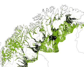 Dette bildet viser hvordan om lag en tredel av bjørkeskogsbeltet ble angrepet. Rundt 10 000 kvadratkilometer skog (svart) ble spist av lauvmakken. Grønne områder fikk liten eller ingen skade. (Foto: (Kart fra forskningsprosjektet)) Dette bildet viser hvordan om lag en tredel av bjørkeskogsbeltet ble angrepet. Rundt 10 000 kvadratkilometer skog (svart) ble spist av lauvmakken. Grønne områder fikk liten eller ingen skade. (Foto: (Kart fra forskningsprosjektet))