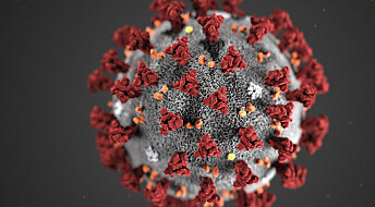 Kina: 38 døde av koronavirus, færre smittede
