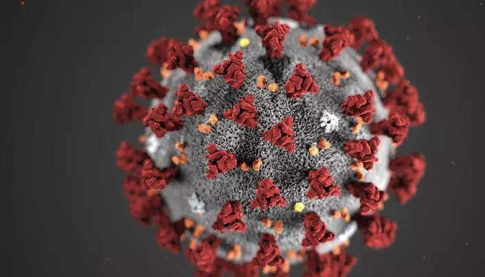 Her kan du lese alle sakene våre om koronaviruset