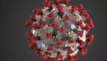 I Kina er 2,3 prosent av de syke døde av koronaviruset
