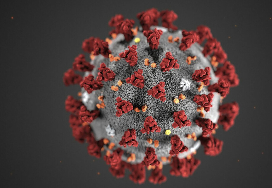This handout illustration image obtained February 3, 2020, courtesy of the Centers for Disease Control and Prevention, and created at the Centers for Disease Control and Prevention (CDC), reveals ultrastructural morphology exhibited by coronaviruses. - Note the spikes that adorn the outer surface of the virus, which impart the look of a corona surrounding the virion, when viewed electron microscopically. A novel coronavirus virus was identified as the cause of an outbreak of respiratory illness first detected in Wuhan, China in 2019. (Photo by Lizabeth MENZIES / Centers for Disease Control and Prevention / AFP) / RESTRICTED TO EDITORIAL USE - MANDATORY CREDIT 'AFP PHOTO /CENTERS FOR DISEASE CONTROL AND PREVENTION/ALISSA ECKERT/HANDOUT ' - NO MARKETING - NO ADVERTISING CAMPAIGNS - DISTRIBUTED AS A SERVICE TO CLIENTS