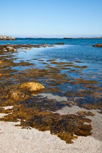 Havet byr på store uutnyttede ressurser. (Illustrasjonsfoto: Photos.com) Havet byr på store uutnyttede ressurser. (Illustrasjonsfoto: Photos.com)