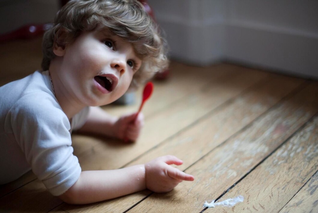 "Se, en gulpeflekk! En GULPEFLEKK, ja! Deeer er gulpeflekken!" (Foto: Colourbox) "Se, en gulpeflekk! En GULPEFLEKK, ja! Deeer er gulpeflekken!" (Foto: Colourbox)