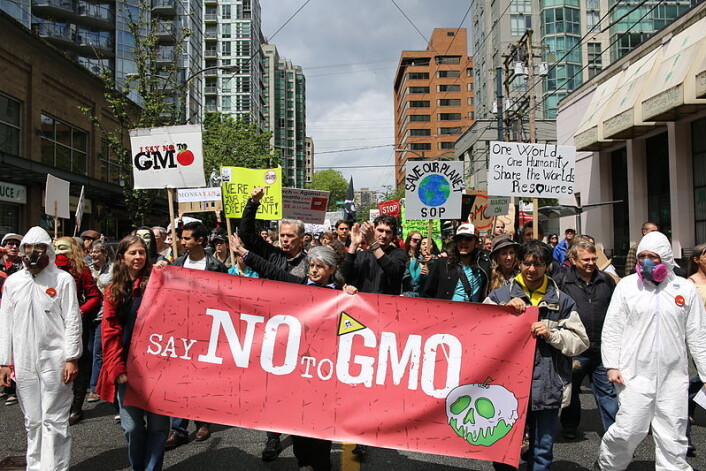 Protest mot GMO-produsenten Monsanto, i Vancouver i 2013. (Foto: Rosalee Yagihara/Wikimedia Commons) Protest mot GMO-produsenten Monsanto, i Vancouver i 2013. (Foto: Rosalee Yagihara/Wikimedia Commons)