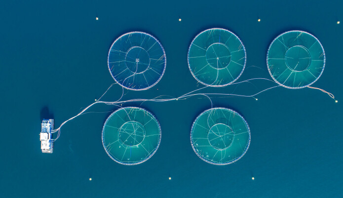 An aerial view of the fish farm in Hordaland, Norway. Farmed salmon need omega-3 fatty acids in their diet, but so do humans. The current supply simply isn’t big enough, researchers say. An aerial view of the fish farm in Hordaland, Norway. Farmed salmon need omega-3 fatty acids in their diet, but so do humans. The current supply simply isn’t big enough, researchers say.