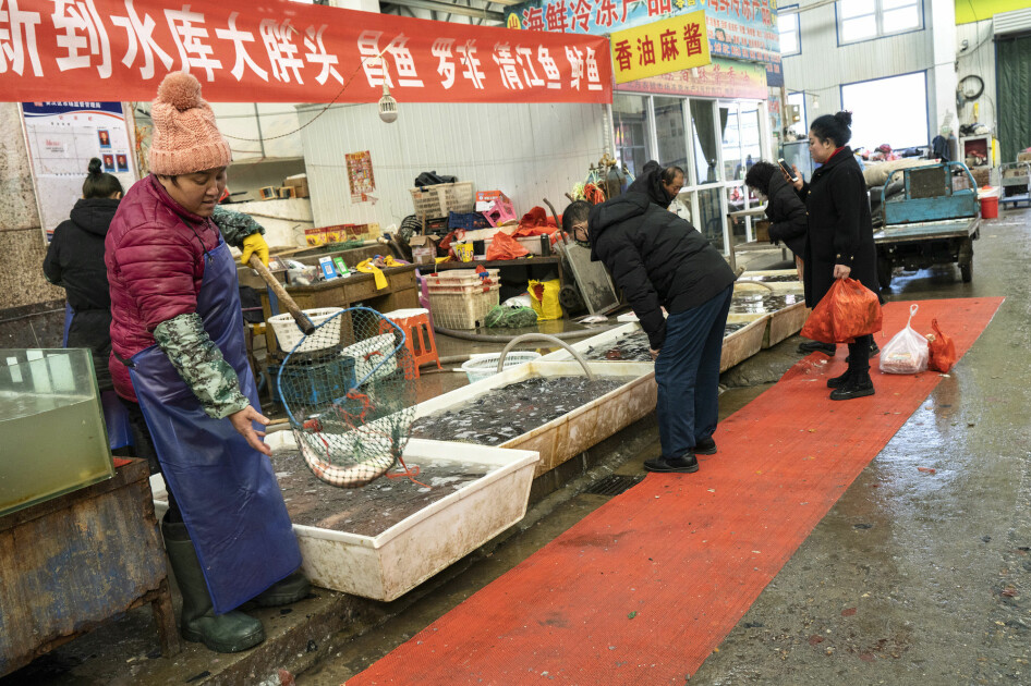 The fish section at the market in Langfang, China. Asian consumers are used to buying whole fish and cleaning and gutting them at home. That makes it more difficult to collect fish wastes for processing for fish feed and meal.