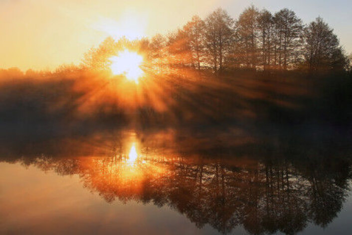 En halv time av dette hver morgen, så er du godt rustet til å håndtere stressende situasjoner i løpet av dagen. (Foto: Colourbox) En halv time av dette hver morgen, så er du godt rustet til å håndtere stressende situasjoner i løpet av dagen. (Foto: Colourbox)