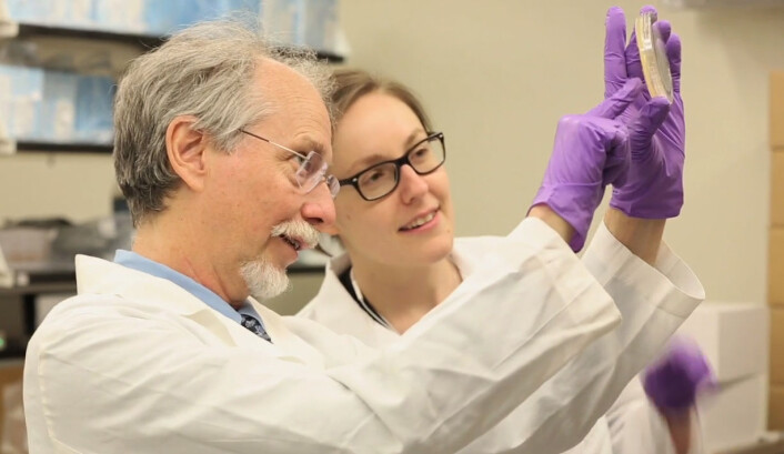 Jef Boeke og Narayana Annaluru i laboratoriet. (Foto: Fra video av NYU Langone Medical Center, 2014) Jef Boeke og Narayana Annaluru i laboratoriet. (Foto: Fra video av NYU Langone Medical Center, 2014)