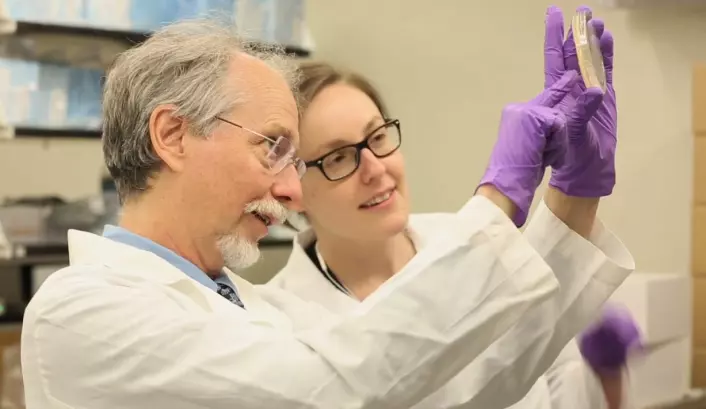 Jef Boeke og Narayana Annaluru i laboratoriet. (Foto: Fra video av NYU Langone Medical Center, 2014)