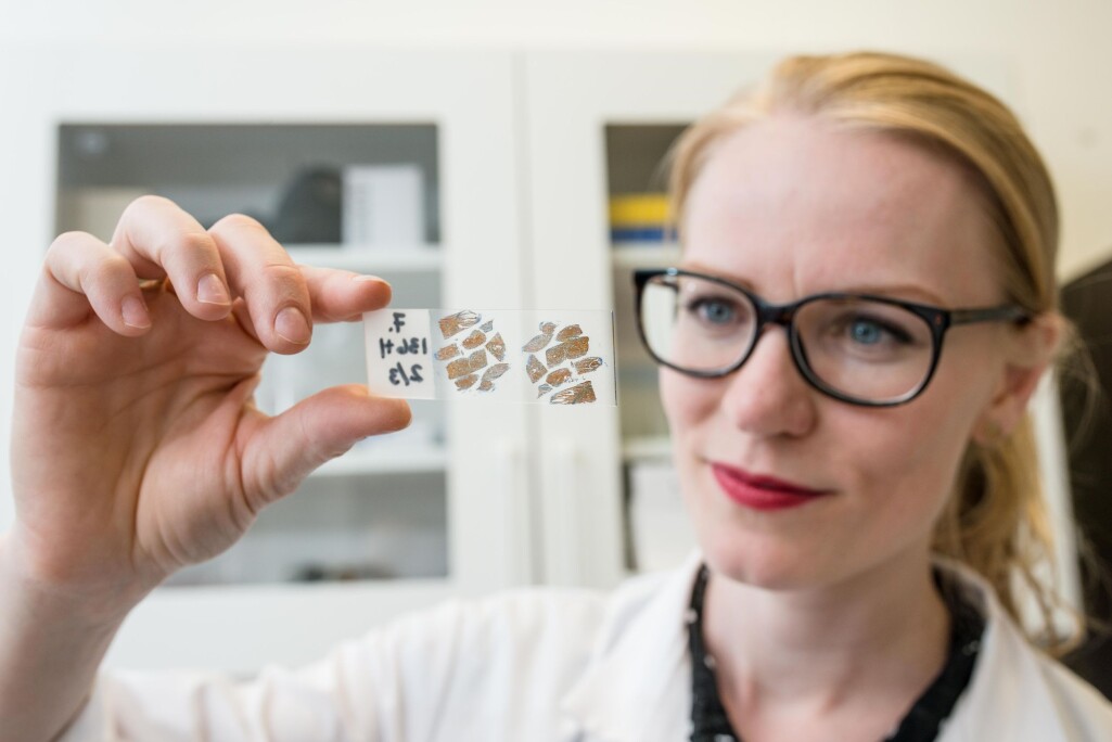 Som barn var Marthe Jordbrekk Blikra en liten Petter Smart som ville bli oppfinner. Nå har nysgjerrigheten drevet henne fram til doktorgrad i matvitenskap. Som barn var Marthe Jordbrekk Blikra en liten Petter Smart som ville bli oppfinner. Nå har nysgjerrigheten drevet henne fram til doktorgrad i matvitenskap.