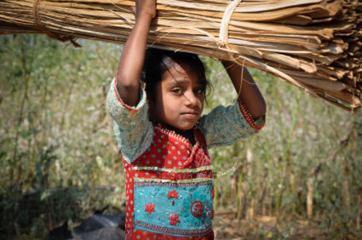 Det er gjort store framskritt i arbeidet mot barnearbeid, viser ny FN-rapport. I mange land er barnearbeid likevel fortsatt vanlig, ikke minst i landbruket. Bildet er fra India. (Foto: iStockphoto) Det er gjort store framskritt i arbeidet mot barnearbeid, viser ny FN-rapport. I mange land er barnearbeid likevel fortsatt vanlig, ikke minst i landbruket. Bildet er fra India. (Foto: iStockphoto)