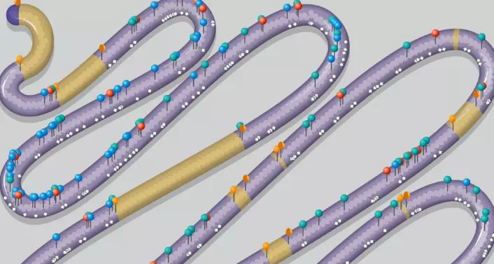 Deler av kromosom III, ett av 17 kromosomer i gjærsoppen er designet kunstig. Gule områder er deler av genet som forskerne fjernet. Knappenålene er steder der kromosomet er endret. (Foto: (Illustrasjon: Science/Lucy Reading-Ikkanda))