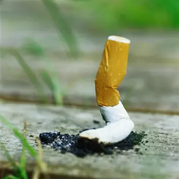 "Hvordan får man røykere til å stumpe sigaretten? Det er ikke noe én vitenskap kan svare på. En løsning krever et tett samarbeid mellom ulike fagfelt. (Foto: www.colourbox.com)