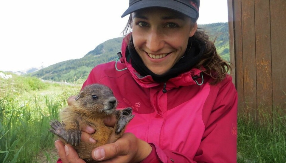 Svenja B. Kroeger holding a yellow-bellied marmot pup.