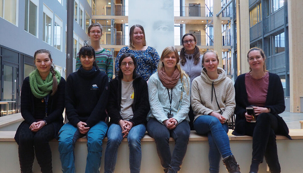 Stadig flere kvinner finner veien til polarforskningen, her er et knippe kvinnelige ansatte ved Forskningsavdelingen til Polarinstituttet. Foran til venstre: Hanna Kauko, Amalie Keck, Françoise Amélineau, Svenja Neumann, Ingrid Paulsen og Christina Ø. Pedersen. Bakerst fra venstre Anna Lippold, Amalie Ask og Chloe R. Nater. Stadig flere kvinner finner veien til polarforskningen, her er et knippe kvinnelige ansatte ved Forskningsavdelingen til Polarinstituttet. Foran til venstre: Hanna Kauko, Amalie Keck, Françoise Amélineau, Svenja Neumann, Ingrid Paulsen og Christina Ø. Pedersen. Bakerst fra venstre Anna Lippold, Amalie Ask og Chloe R. Nater.