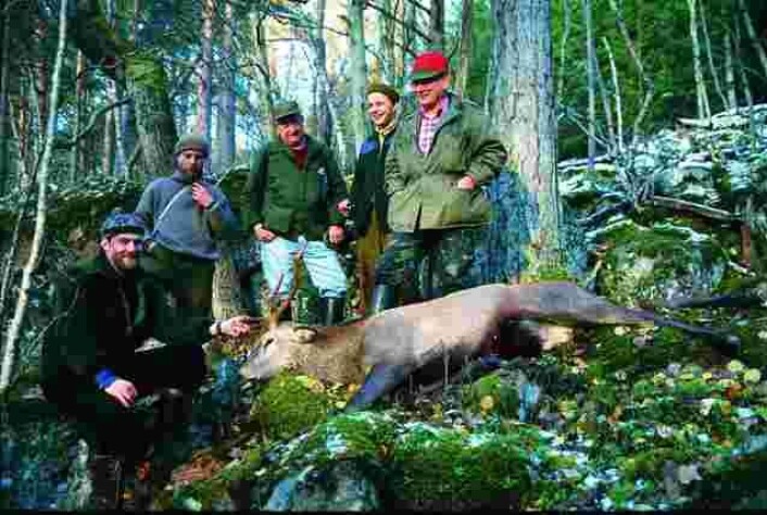 Hjortejegerne jakter vanligvis i jaktlag, og som oftest er medlemmene i jaktlaget venner og familie. (Foto: Erling Meisingset) Hjortejegerne jakter vanligvis i jaktlag, og som oftest er medlemmene i jaktlaget venner og familie. (Foto: Erling Meisingset)