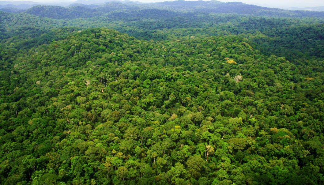 Above Ivindo National Park, central Gabon. Above Ivindo National Park, central Gabon.