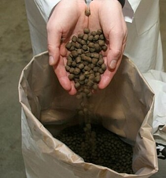 Oppdrettslaks og -ørret spiser tørrfôr formet som pellets, som inneholder en rekke oljer og proteiner. Oppdrettslaks og -ørret spiser tørrfôr formet som pellets, som inneholder en rekke oljer og proteiner.