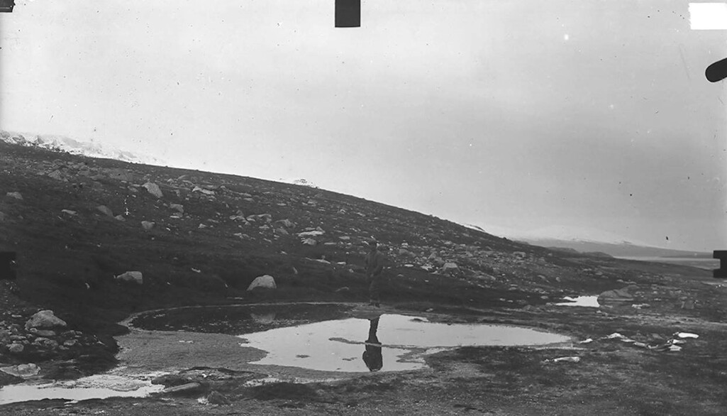 Trollkildene 1912: Gamle beskrivelser på latinsk tyder på at det forskerne den gang trodde var én art, egentlig er en blanding av kjennetegnene av det som man nå vet er to arter. Trollkildene 1912: Gamle beskrivelser på latinsk tyder på at det forskerne den gang trodde var én art, egentlig er en blanding av kjennetegnene av det som man nå vet er to arter.