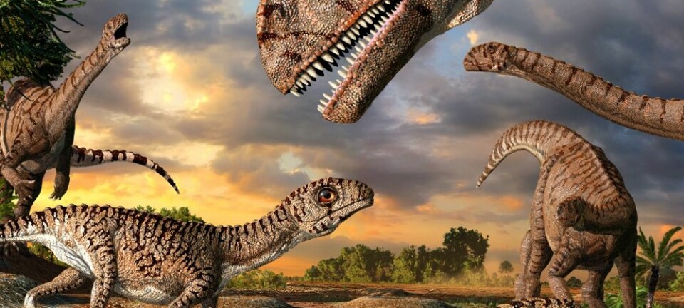 Slik kan det ha sett ut i rugekassa til massospondylus-dinosaurene, som levde for 190 millioner år siden.  (Illustrasjon: Julius Csotonyi)