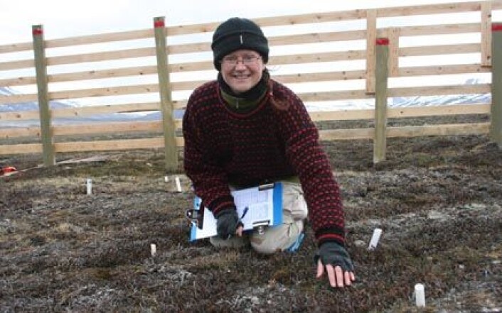 "Elisabeth Cooper er førsteamanuensis i arktisk botanikk ved Universitetssenteret på Svalbard (UNIS) og leder prosjektet More Arctic Snow" "Elisabeth Cooper er førsteamanuensis i arktisk botanikk ved Universitetssenteret på Svalbard (UNIS) og leder prosjektet More Arctic Snow"