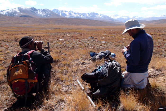Feltbiologer har installert viltkameraer og samler også inn DNA-prøver i Deosai nasjonalpark. Feltbiologer har installert viltkameraer og samler også inn DNA-prøver i Deosai nasjonalpark.