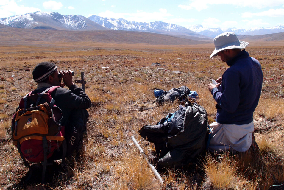 Feltbiologer har installert viltkameraer og samler også inn DNA-prøver i Deosai nasjonalpark.