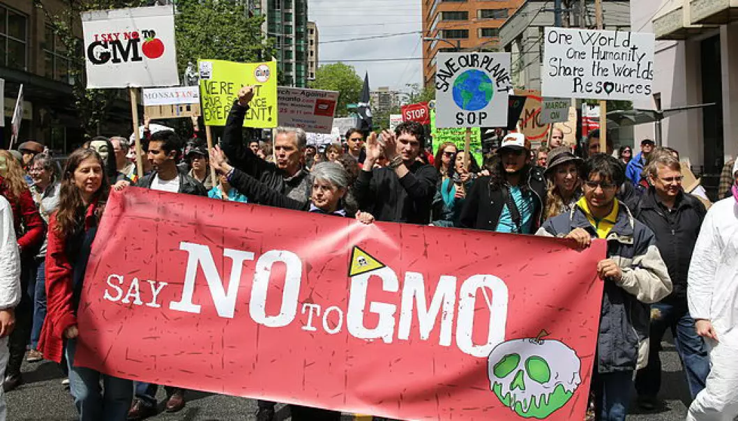 Ensidig fokus på farlige GMO-er