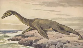 En plesiosaur på land fra et veggmaleri i Berlin akvarium. (Bilde: Heinrich Harder/Wikimedia Commons) En plesiosaur på land fra et veggmaleri i Berlin akvarium. (Bilde: Heinrich Harder/Wikimedia Commons)