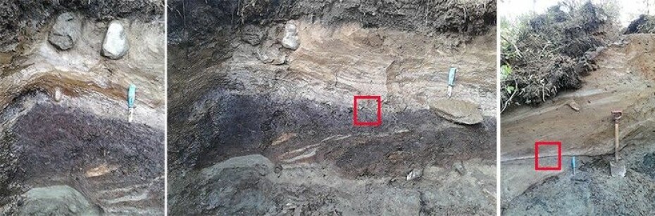 Bilder fra en grøft i forkastningen like nord for Masi. Til venstre og i midten ser vi snitt med begravde og deformerte sedimenter. Legg merke til bulldoser-effekten, for eksempel rundt steinene i øvre del, som er presset vekk fra forkastningen da deler av berggrunnen ble skjøvet opp på bare noen sekunder. Yngste daterte prøve fra den begravde torva er cirka 6300 år gammel (rød ramme på bildet i midten).
Til høyre er den yngste daterte prøven av organisk materiale markert med rød ramme. Alderen på denne prøven er 800-900 år før nåtid. En prøve fra bunnen av ikke-deformert torv er datert til cirka 700 år før nåtid. Det betyr at alderen på forkastningen er mellom 700 og 800-900 år gammel.