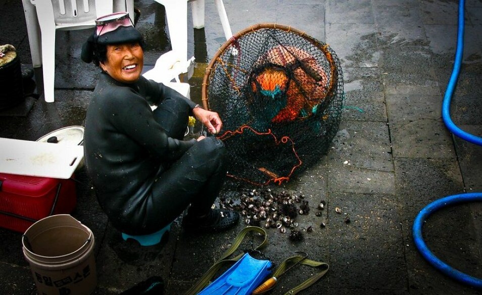 Fisking blir ansett som en mannsdominert bransje, ifølge forskerne. Også i fattige land. Her er en fisker som dykker etter skjell på Jeju Island i South Korea.