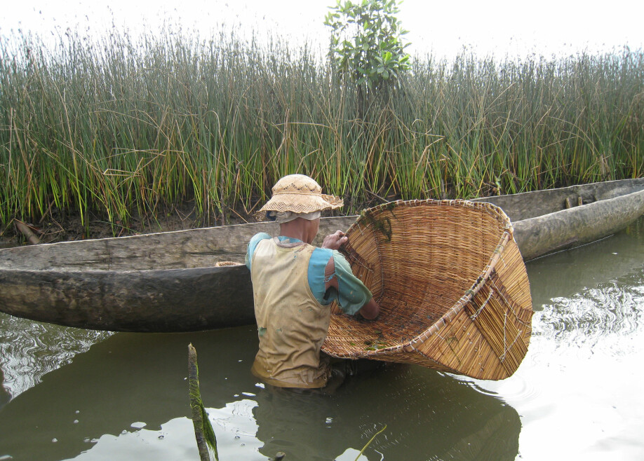 Denne fiskeren leter etter reker i en elv i Madagaskar.