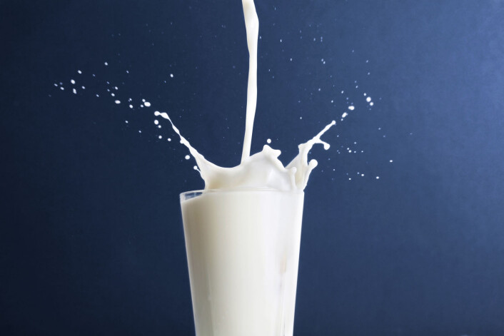 Økologisk melk, det er fett. Riktig fett, til og med, ifølge en ny undersøkelse. (Foto: Colourbox) Økologisk melk, det er fett. Riktig fett, til og med, ifølge en ny undersøkelse. (Foto: Colourbox)