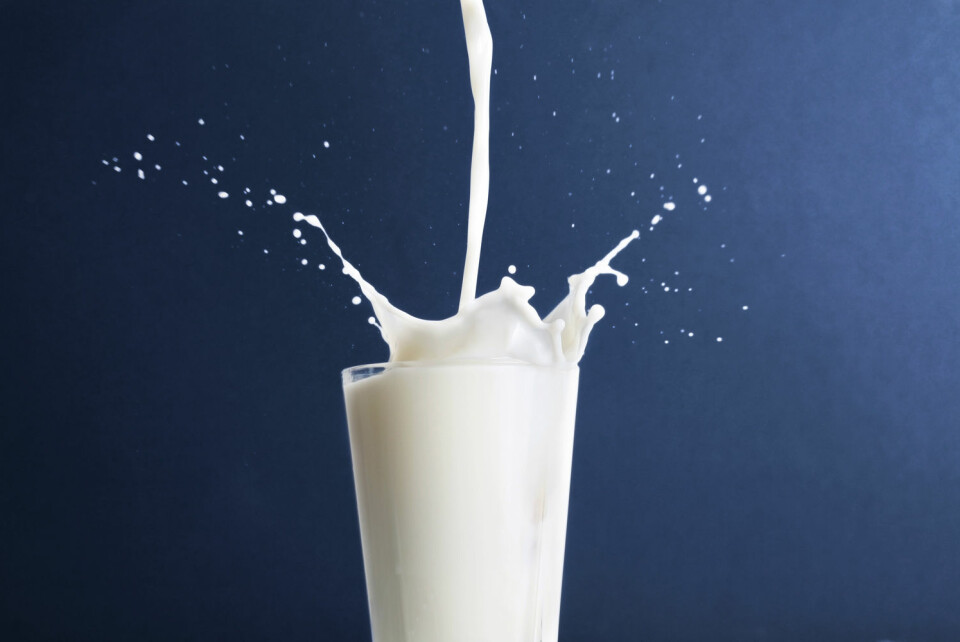 Økologisk melk, det er fett. Riktig fett, til og med, ifølge en ny undersøkelse. (Foto: Colourbox)
