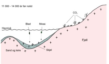"Et marint havbasseng for 11 000 - 14 000 år siden. Planter som gjennom fotosyntesen har tatt opp karbon fra atmosfæren og marine skjell som har tatt opp karbon fra sjøvannet, faller til havbunnen." "Et marint havbasseng for 11 000 - 14 000 år siden. Planter som gjennom fotosyntesen har tatt opp karbon fra atmosfæren og marine skjell som har tatt opp karbon fra sjøvannet, faller til havbunnen."