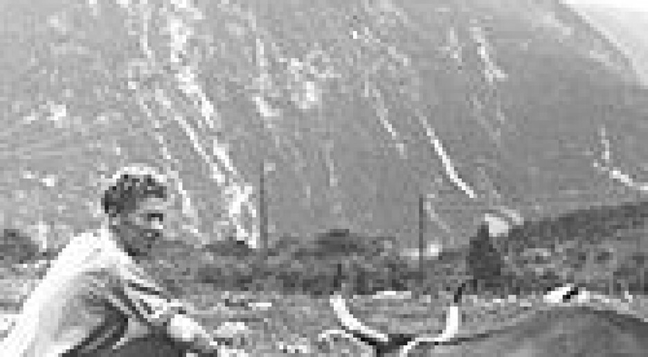 Bakgrunn: Forgiftet fe ga norsk miljøpolitikk