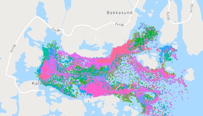 40 torskar i 40 fargenyansar – og posisjonane deira i februar og mars 2019. Slik kan torskane sjå ut på kartet, utan forstyrring. 40 torskar i 40 fargenyansar – og posisjonane deira i februar og mars 2019. Slik kan torskane sjå ut på kartet, utan forstyrring.